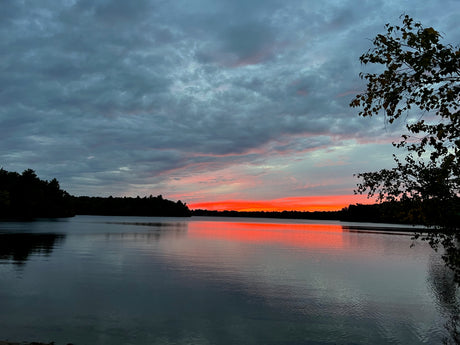 Fiery sunset painting a cloudy sky & calm lake, with silhouetted trees. Imagine this view from your RV rental.