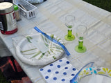 RV rental ready: An outdoor table with plaid cloth holds coffee, green-stemmed glasses, paper plates, and napkins for dining.
