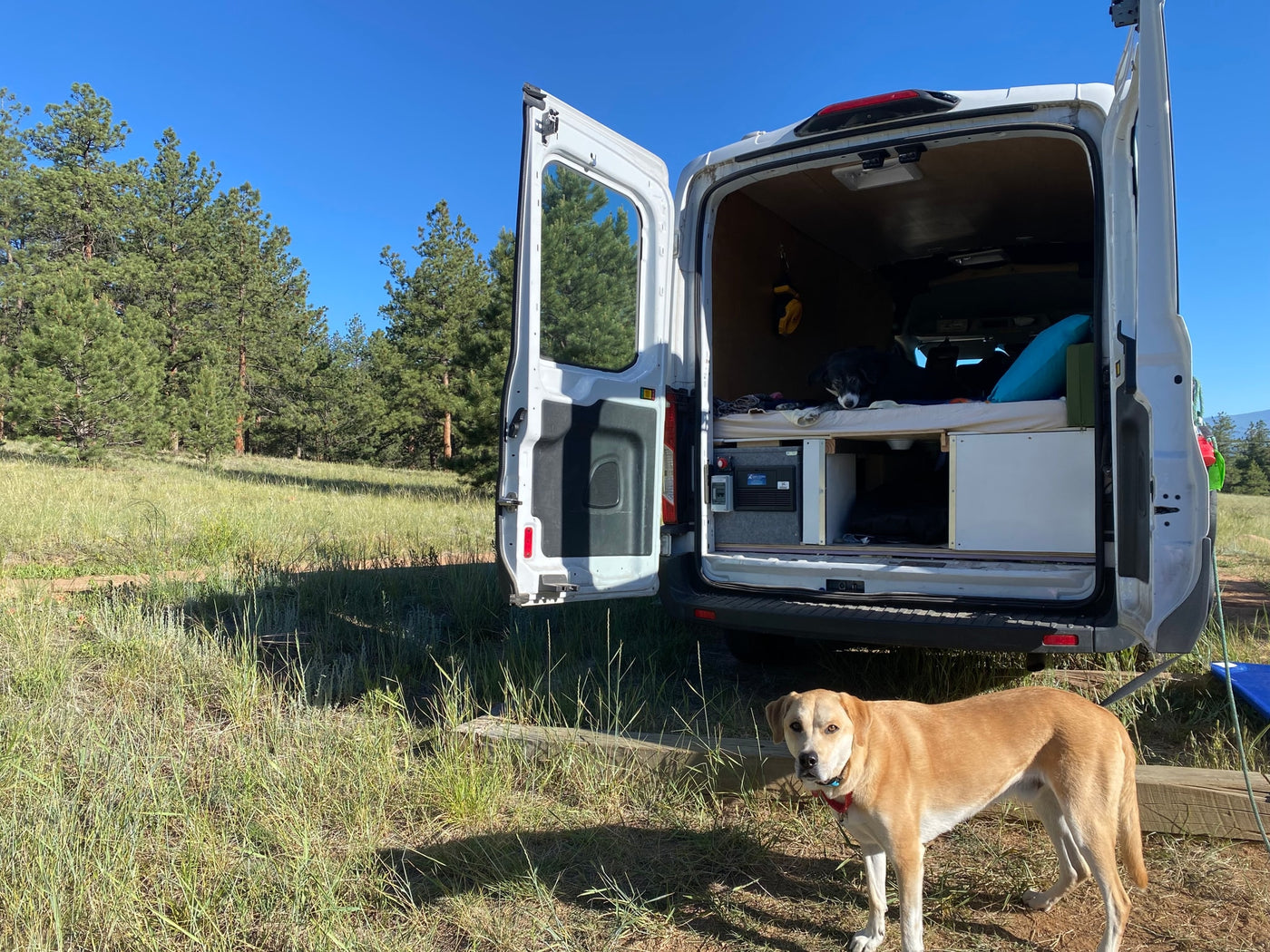  ideal for an RV rental or conversion — photo 2