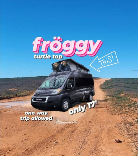 Fröggy the turtle top, Full amenities! --Chicago- overland rental