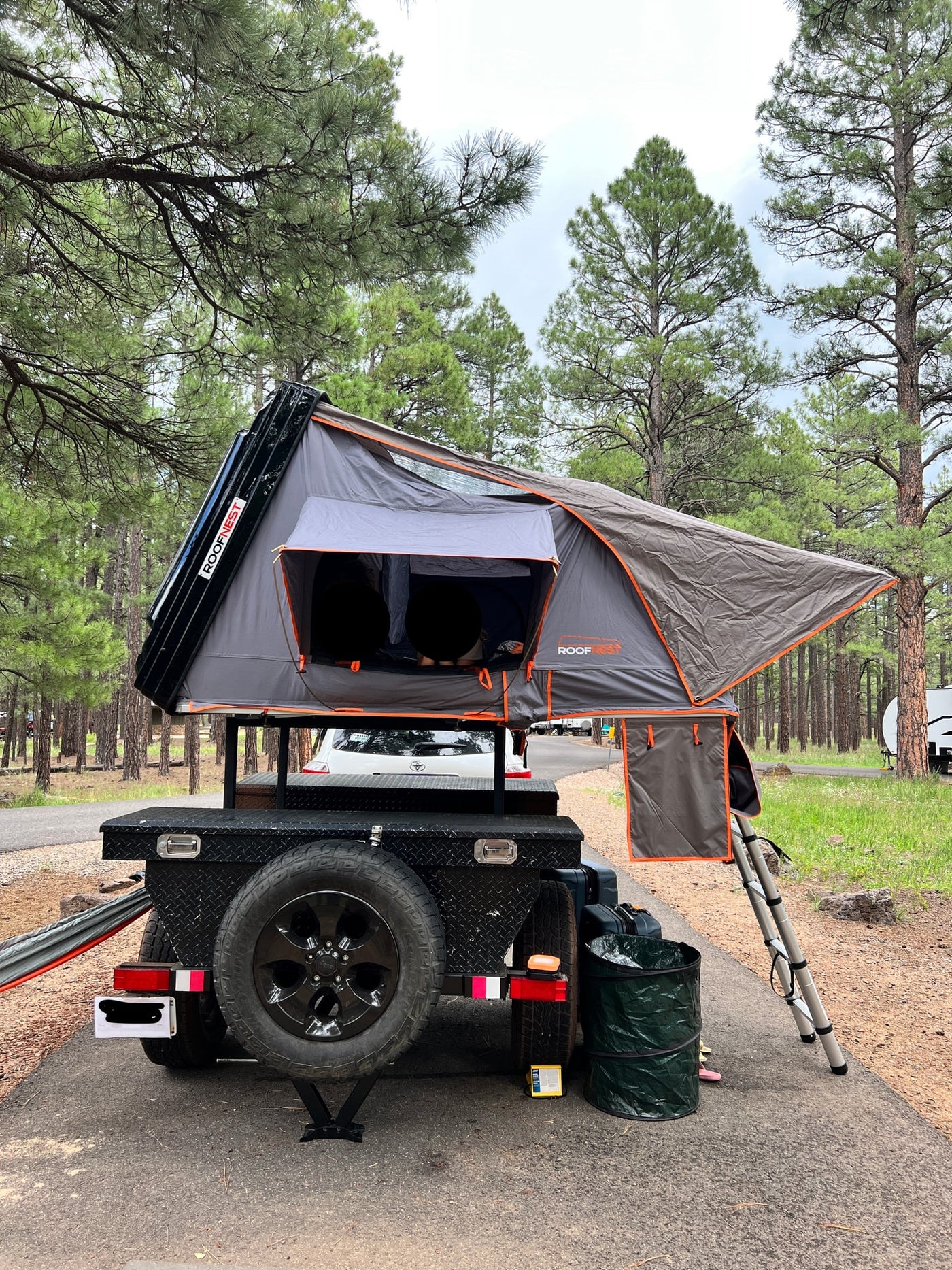 A ROOFNEST rooftop tent on a black utility trailer serves as a compact RV rental option, set up among tall pines for a serene camp. — photo 3