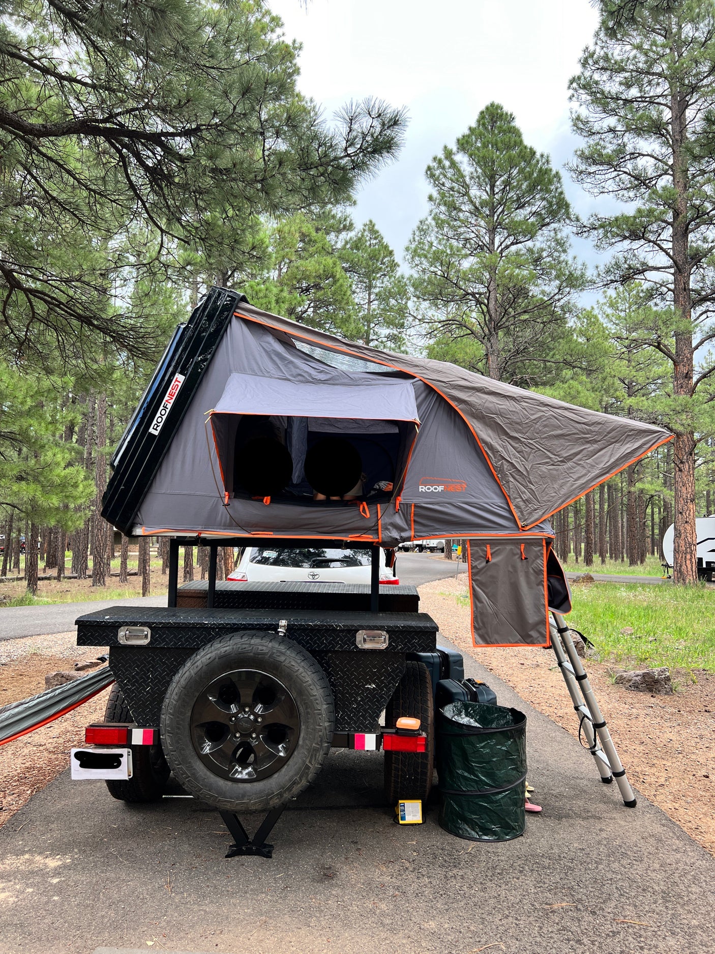 A ROOFNEST rooftop tent on a black utility trailer serves as a compact RV rental option, set up among tall pines for a serene camp.