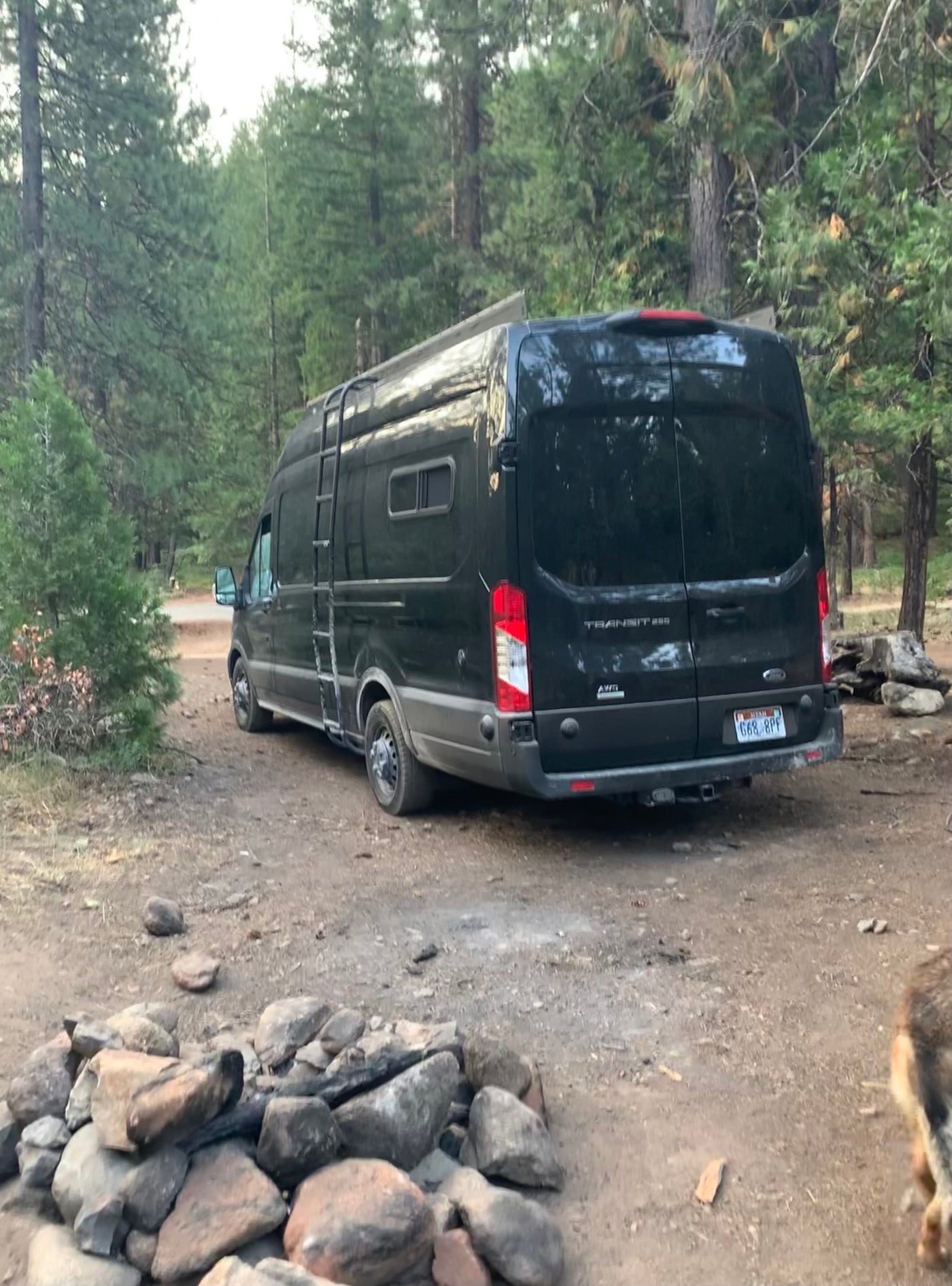 Green Machine  Custom Build - 2022 Ford Transit Adventure Van AWD — photo 2