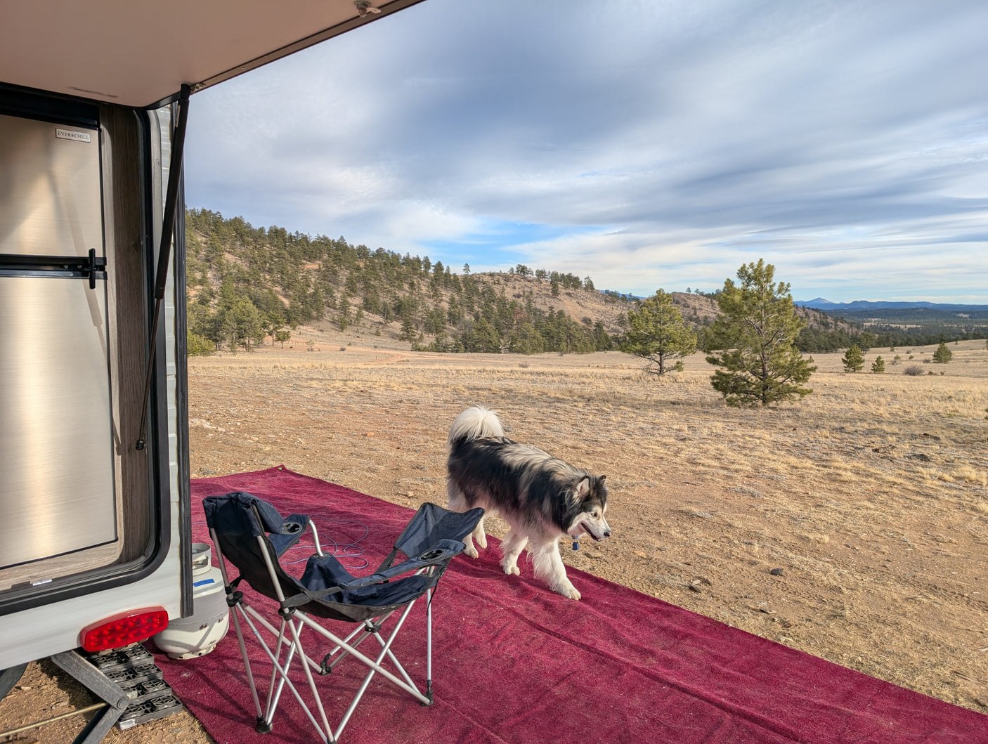 Dog enjoying a scenic rv rental campsite with chairs and a red rug, overlooking dry hills and pines under a cloudy sky.