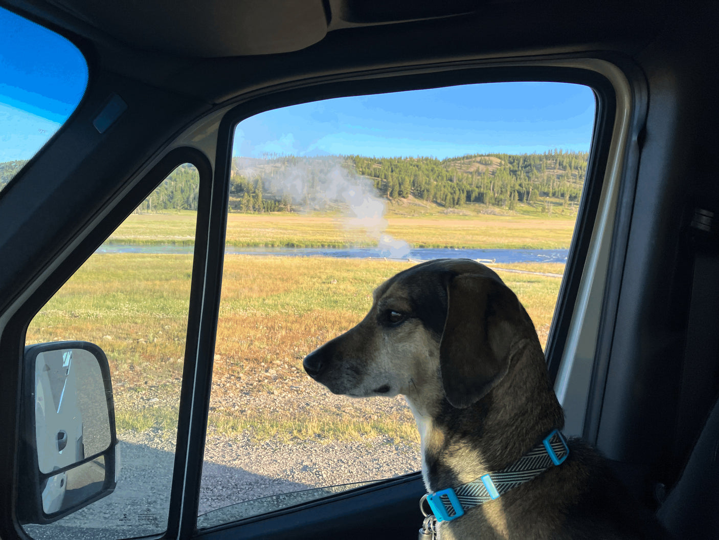 Dog peering out an RV rental window at a vast landscape with a river, fields, and steaming geysers.