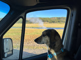 Dog peering out an RV rental window at a vast landscape with a river, fields, and steaming geysers.