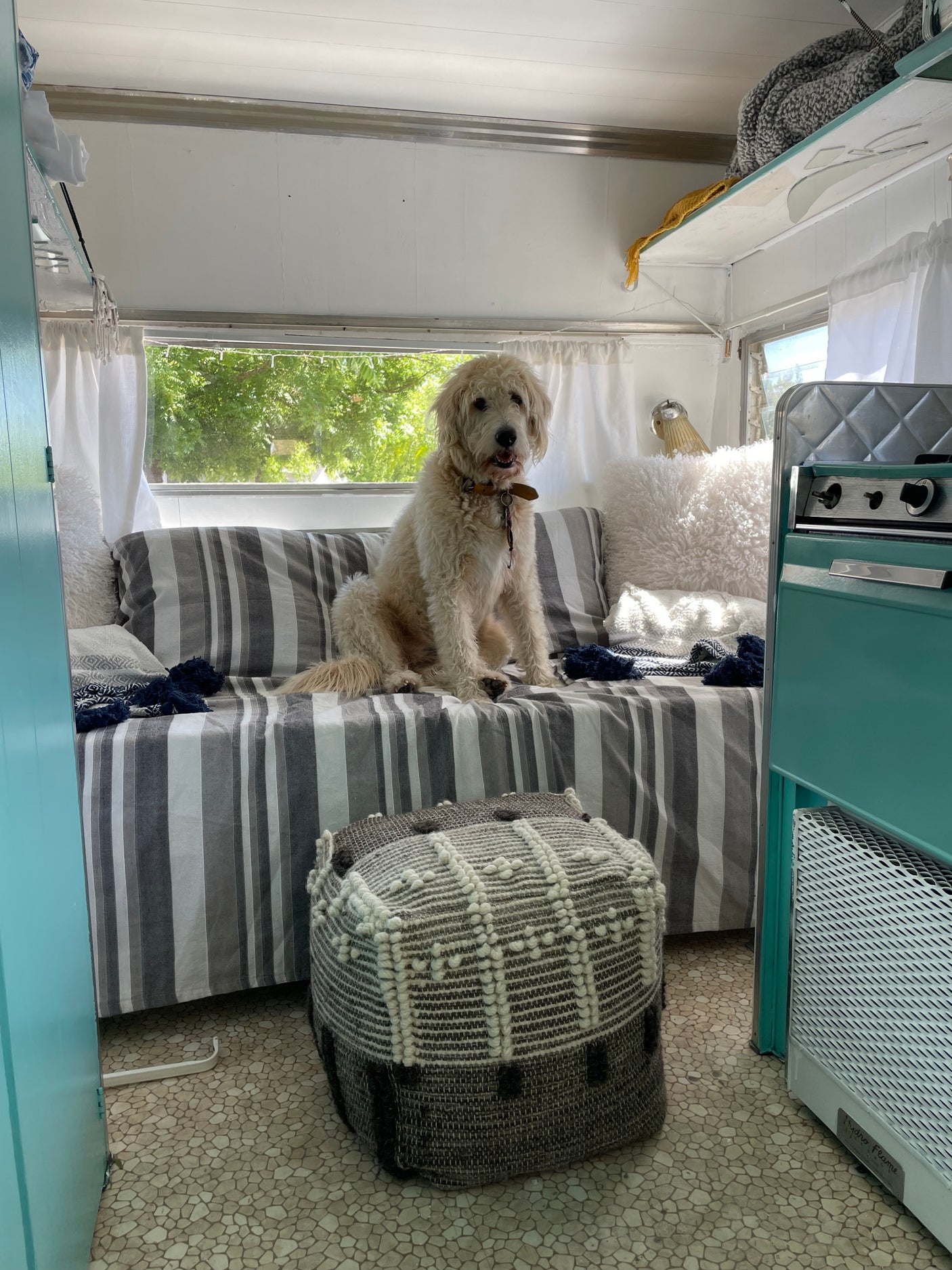 Cozy RV rental: A cream-colored dog sits on a striped couch inside, with a patterned pouf and stove visible.