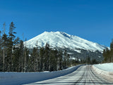 Scenic winter drive to a snow-covered ski mountain, ideal for an RV rental trip. Tall pines line the road under clear blue skies.
