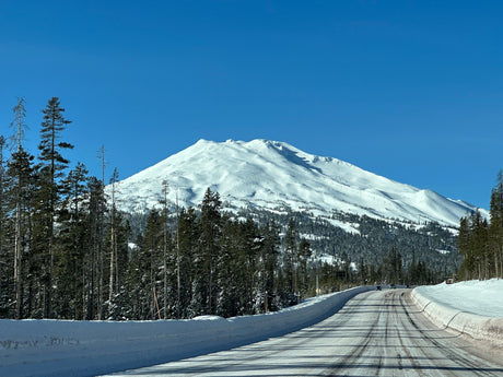 Scenic winter drive to a snow-covered ski mountain, ideal for an RV rental trip. Tall pines line the road under clear blue skies.