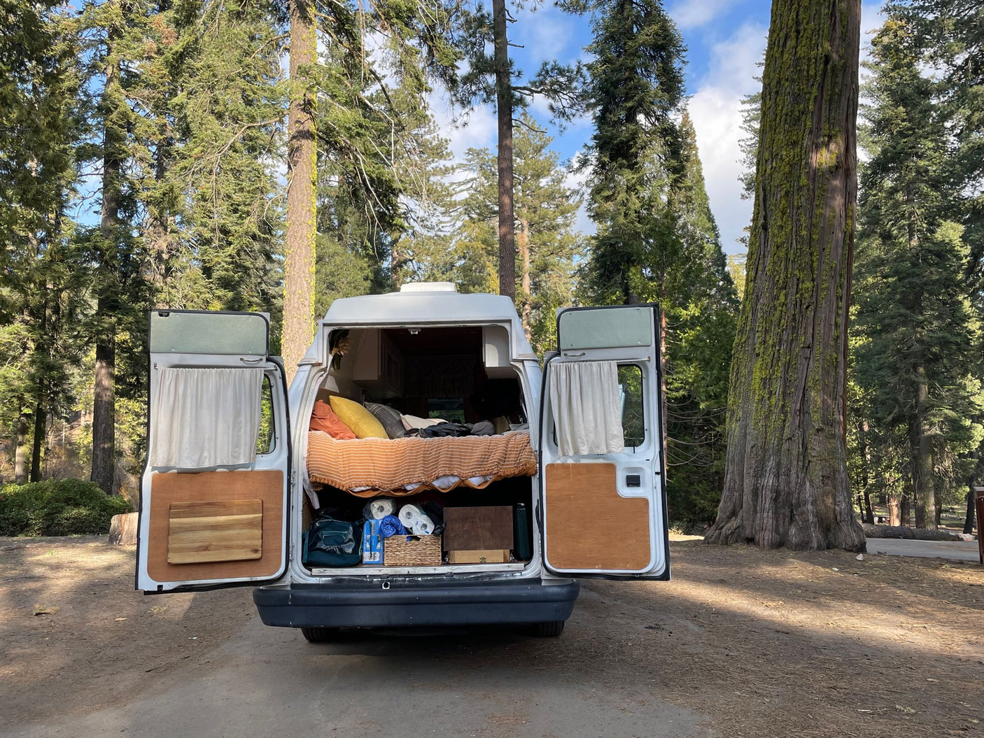 Cozy RV rental camper van with open back doors, bed, and gear, nestled among towering trees in a peaceful forest.