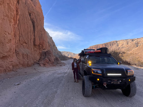 Woman, dog, & off-road truck in desert canyon. A rugged adventure, differing from an rv rental road trip.