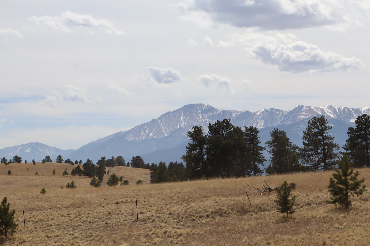 Snow-capped mountains tower over a golden meadow dotted with pine trees. An ideal RV rental backdrop for breathtaking outdoor adventures.