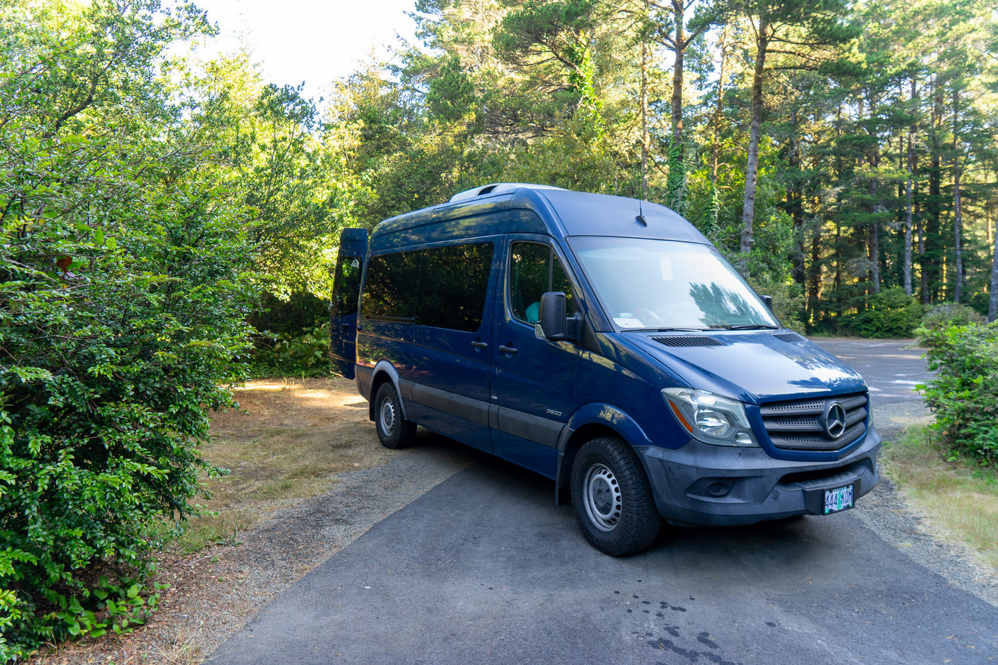 Blue Mercedes Sprinter camper van, an RV rental, parked in a shaded forest campsite.