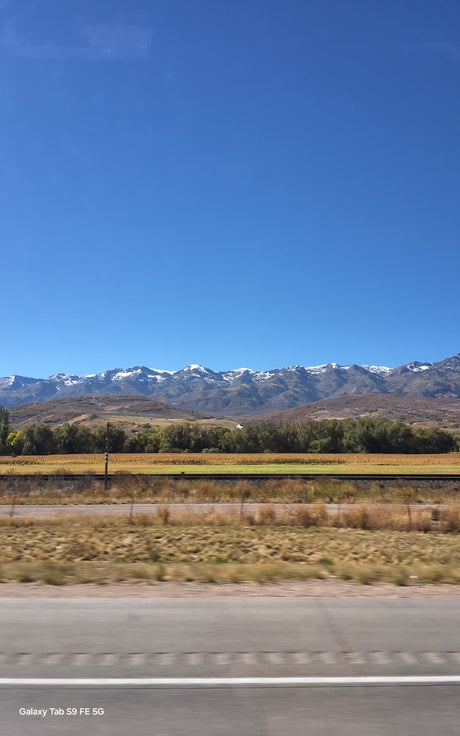 Scenic snow-capped mountains, golden fields, and clear blue sky from a moving vehicle. Perfect for an RV rental road trip.