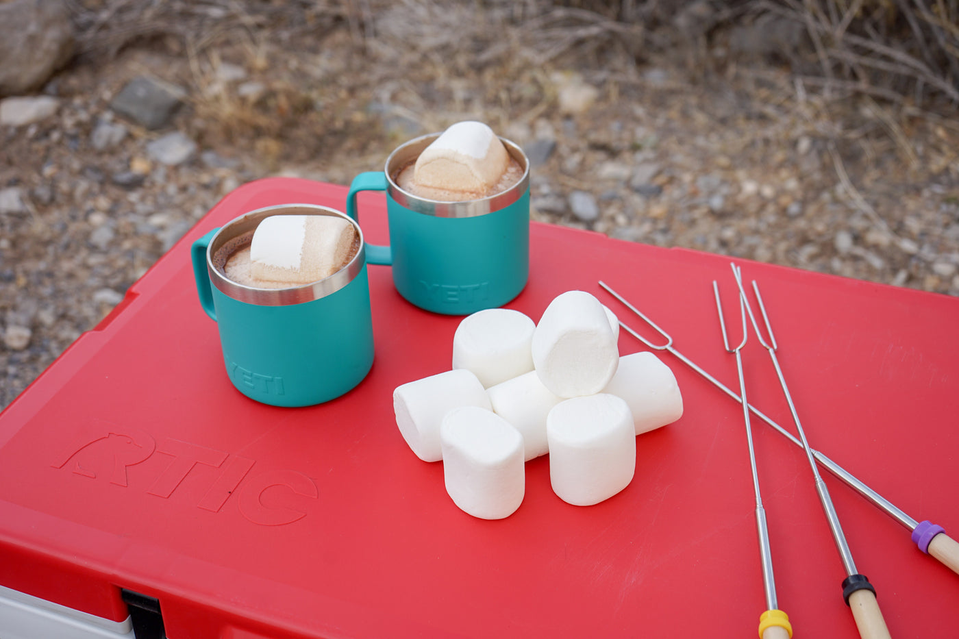 Perfect RV rental campout: hot chocolate, marshmallows, and roasting sticks ready on the RTIC cooler. — photo 5