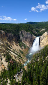 Experience Yellowstone's stunning Lower Falls & Grand Canyon by rv rental! Behold the powerful waterfall, river, forests & overlooks.