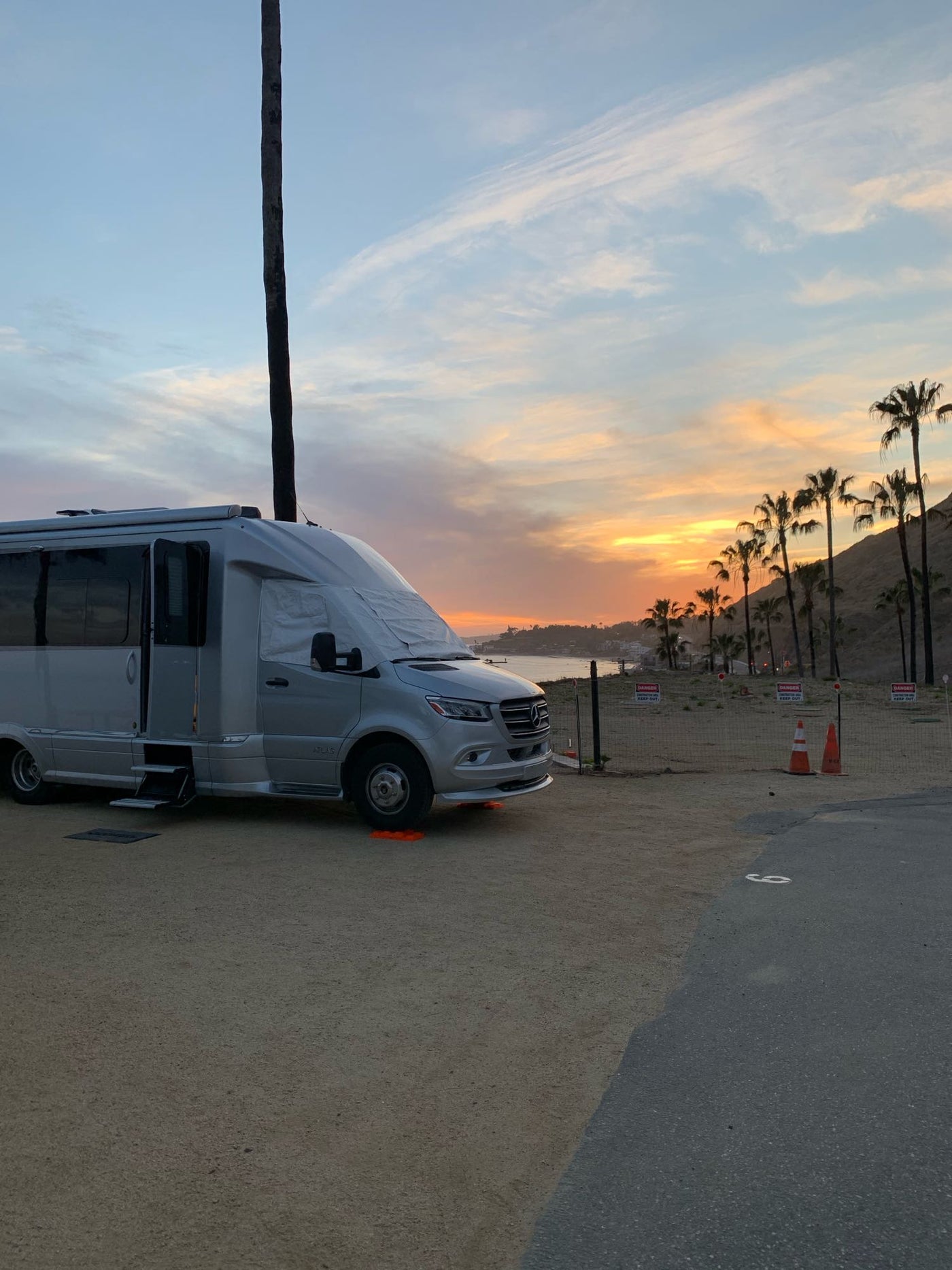  silhouetted palm trees — photo 8
