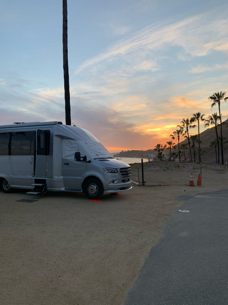  silhouetted palm trees — photo 8