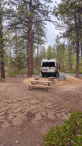 RV rental parked at a serene campsite with a picnic table, surrounded by tall pine trees. Perfect for outdoor adventures.