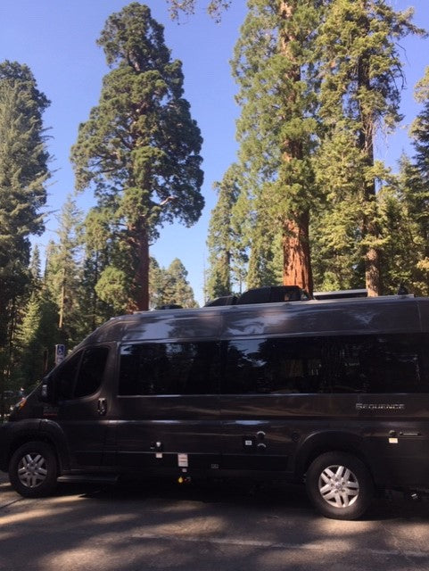 Dark gray rv rental van parked among towering sequoia trees under a clear blue sky, hinting at a nature adventure.