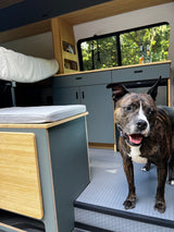 Happy brindle dog in a modern RV rental campervan. Stylish interior with wood & grey accents, nature views from the window.