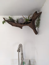 RV rental's compact kitchen: driftwood, air plants, and clear sculpture above a modern coiled pull-down faucet.