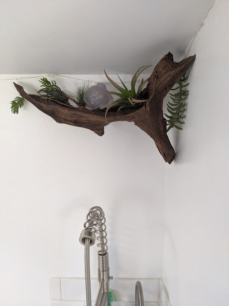 RV rental's compact kitchen: driftwood, air plants, and clear sculpture above a modern coiled pull-down faucet.