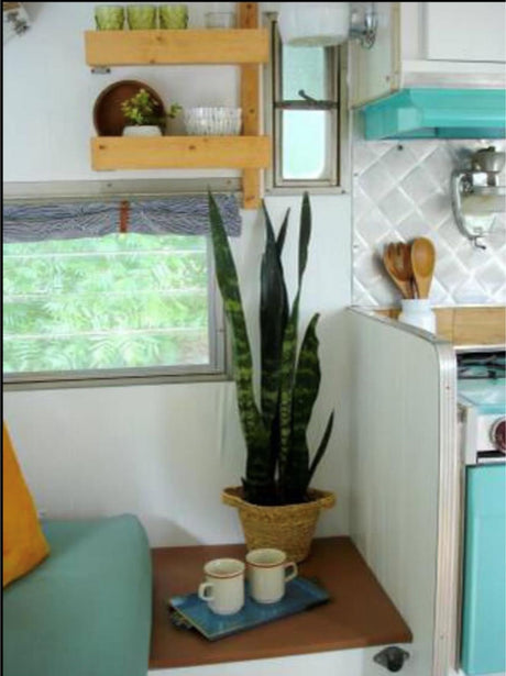 Cozy retro RV rental interior with kitchenette, vibrant plants, and comfy seating, creating a charming, relaxing space.