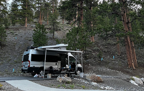 A silver rv rental with an extended awning is parked at a gravel campsite among tall pine trees.