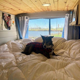Cozy RV rental view: Dog in red plaid shirt on white bed, serene lake outside. Perfect getaway.