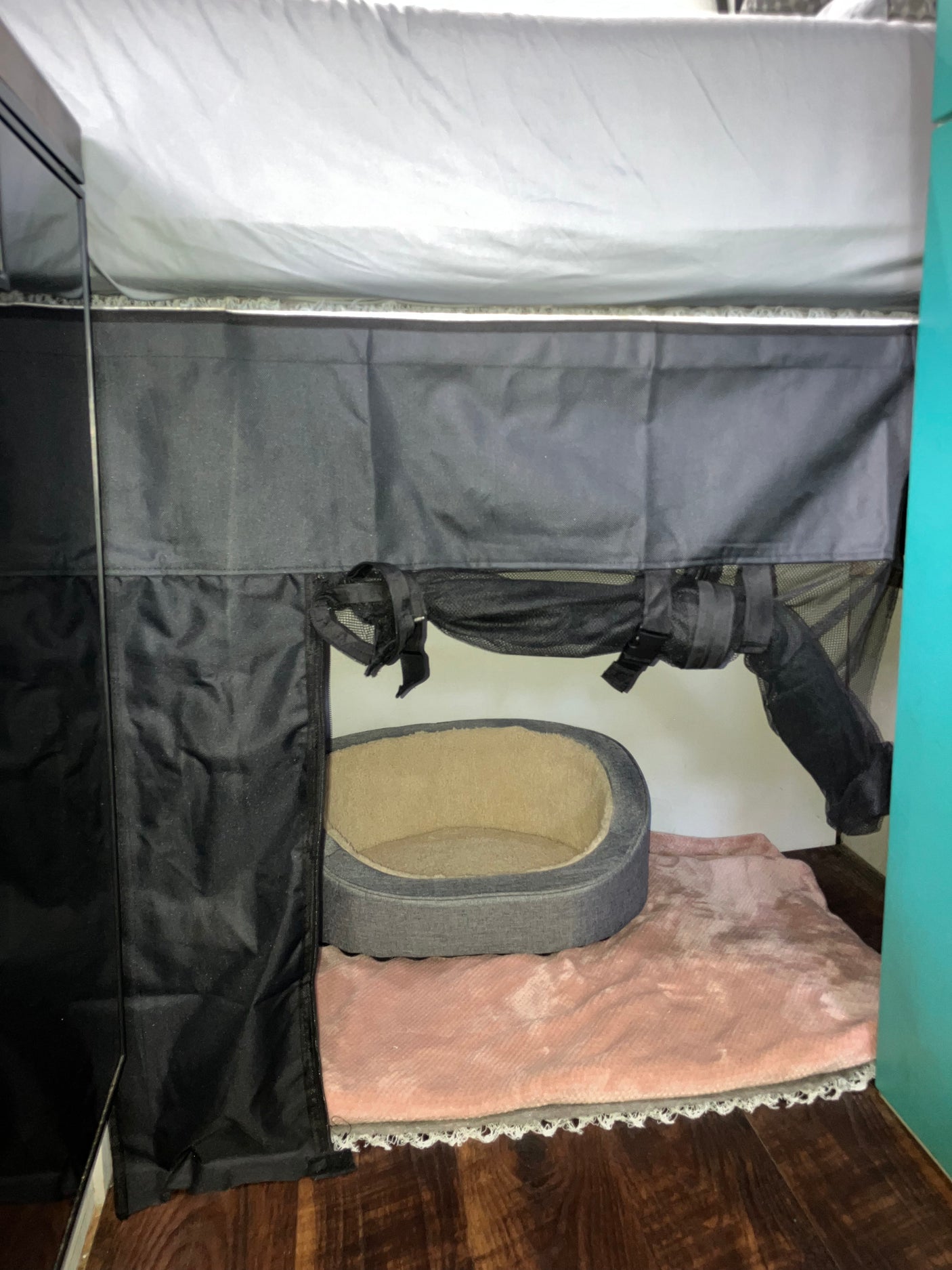 Cozy pet bunk in an RV rental: a gray bed on a pink blanket, enclosed by black fabric under a white bunk, with wood floor.