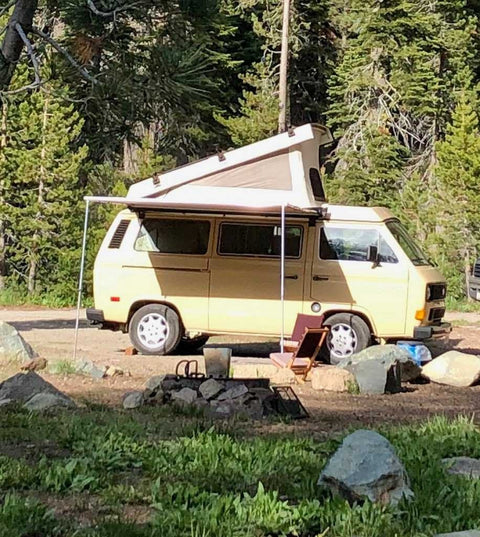 1982 Volkswagen Westfalia "Buttercup" — photo 5