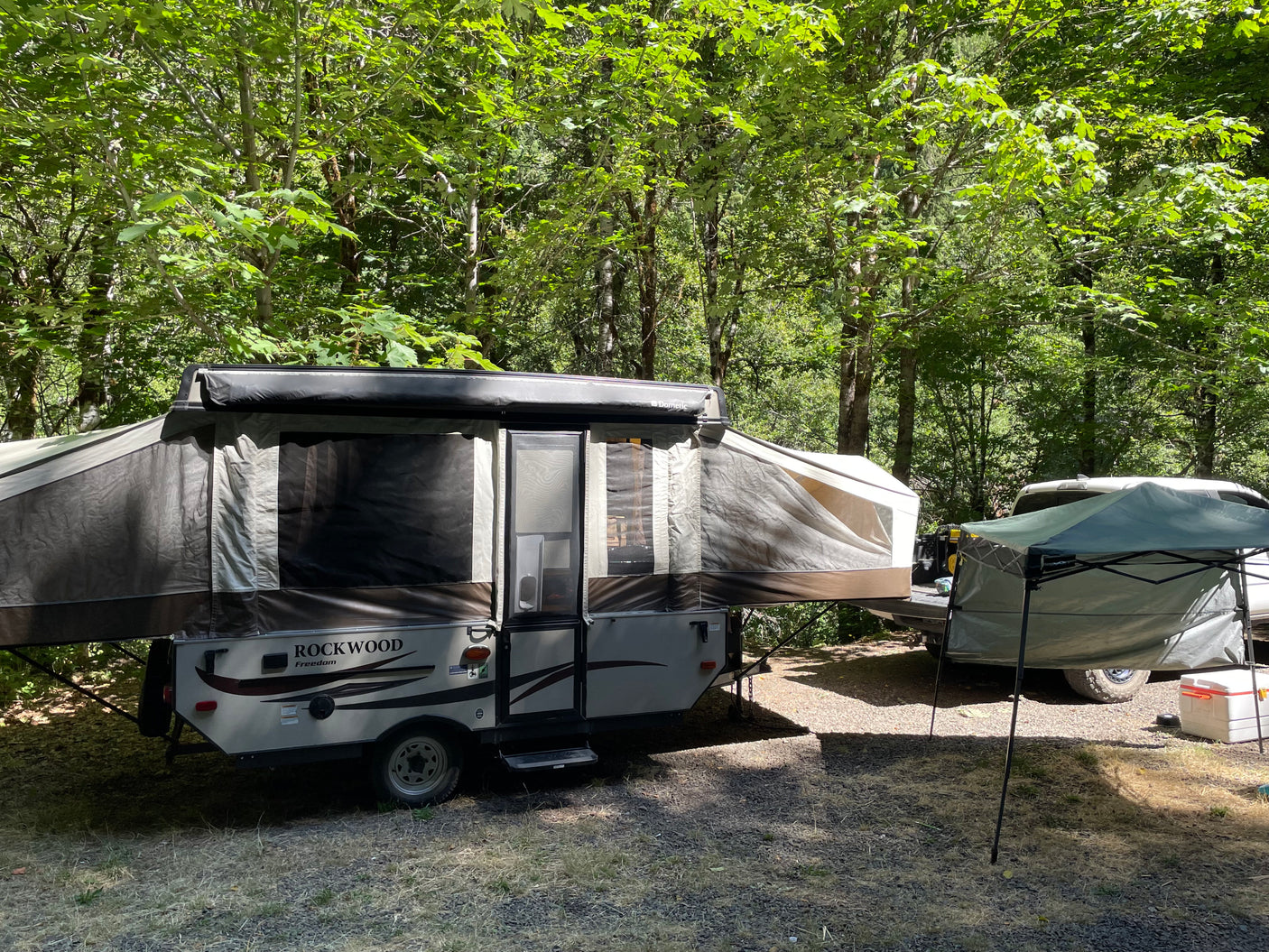 A Rockwood Freedom pop-up camper, an RV rental, is fully deployed at a sunny forest campsite.
