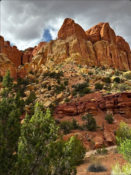 Scenic red/yellow rock formations & desert greenery. Perfect for your next RV rental road trip through nature.