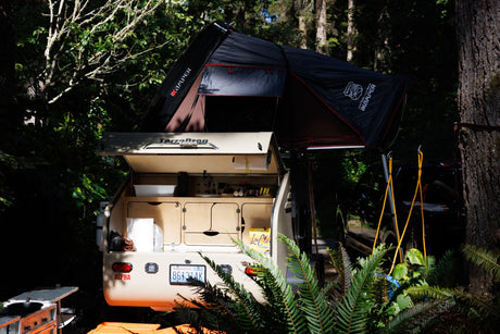  perfect for camping in nature.|RV rental's open tailgate reveals a compact outdoor kitchen with stove