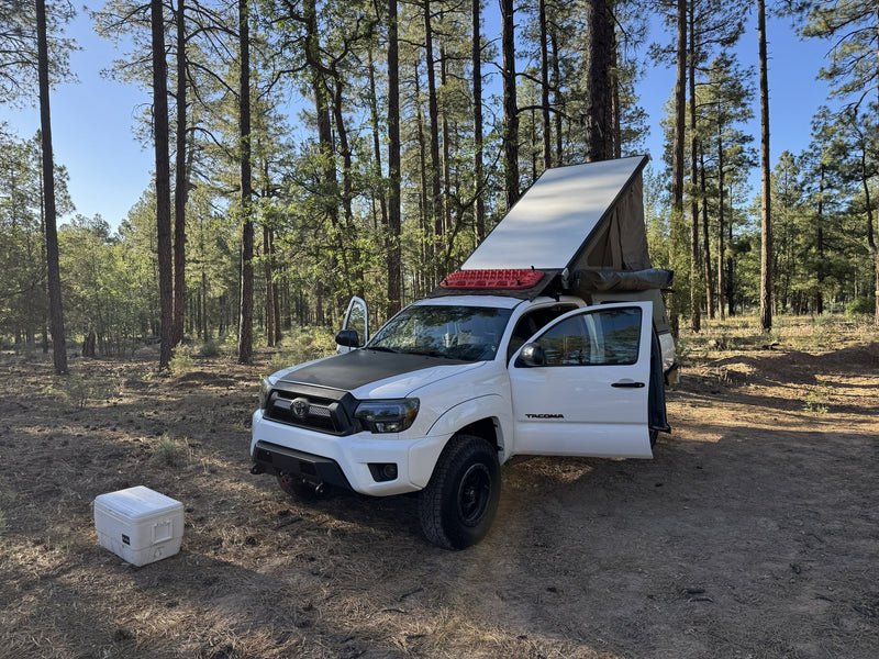 White Toyota Tacoma RV rental with a pop-top camper, parked in a sunlit pine forest, ready for an overland camping adventure. — photo 15