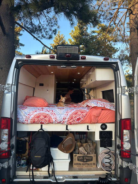 Cozy rv rental interior reveals a person, dog, bed, and smart storage under pine trees, perfect for van life adventure.
