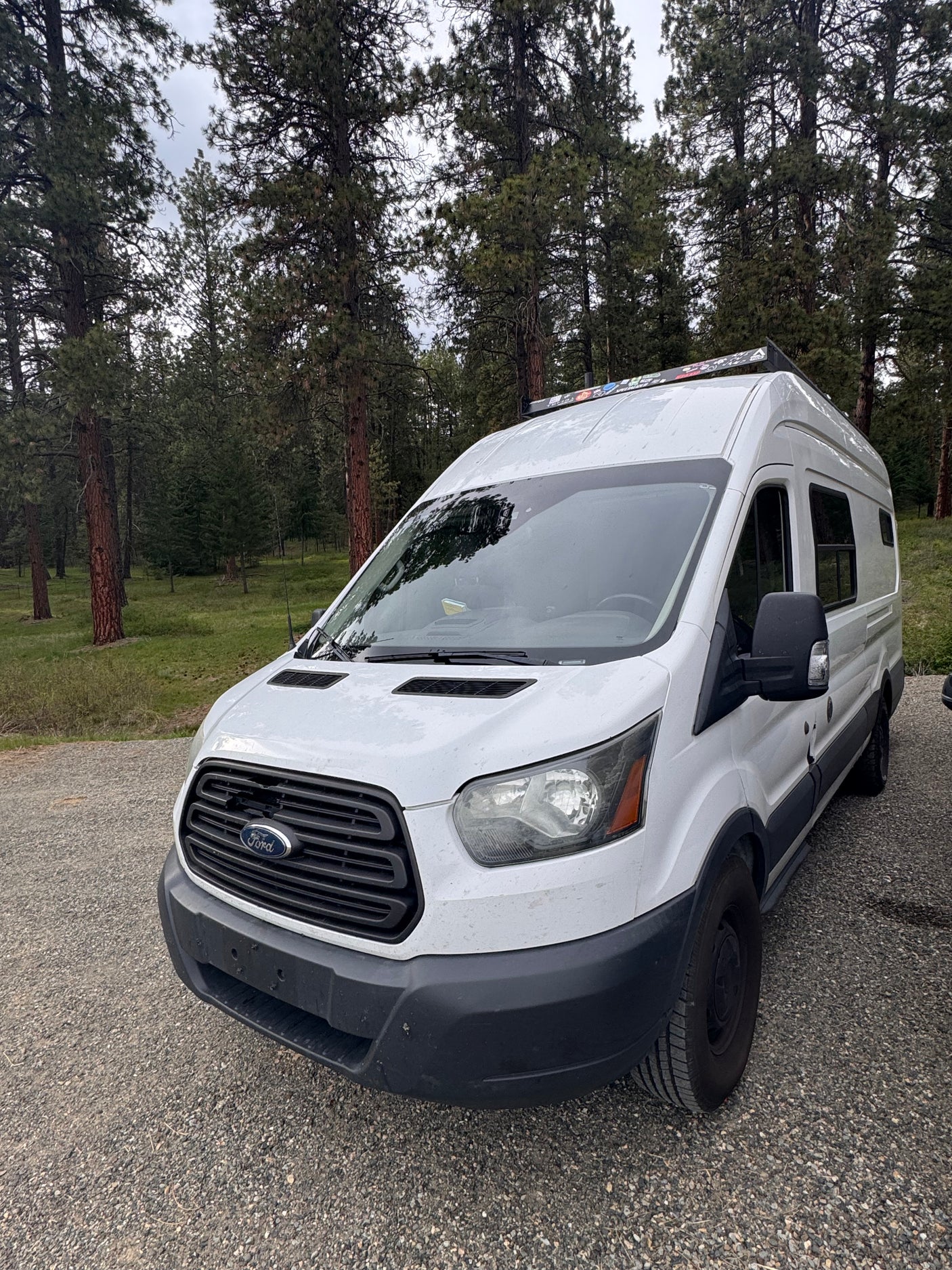 White Ford Transit van, an ideal RV rental, parked on gravel in a lush pine forest.