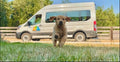 Experience the Comfort of a 2021 Heated, Tall-Roof Campervan with Queen Bed