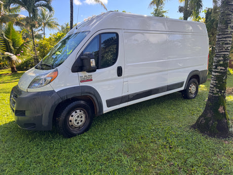 This white Ram ProMaster 2500 van, perfect for an RV rental, is shown parked on vibrant green grass amidst tropical palm trees.