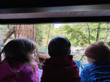 Three children, seen from behind, admire a lush forest and river through their RV rental window.