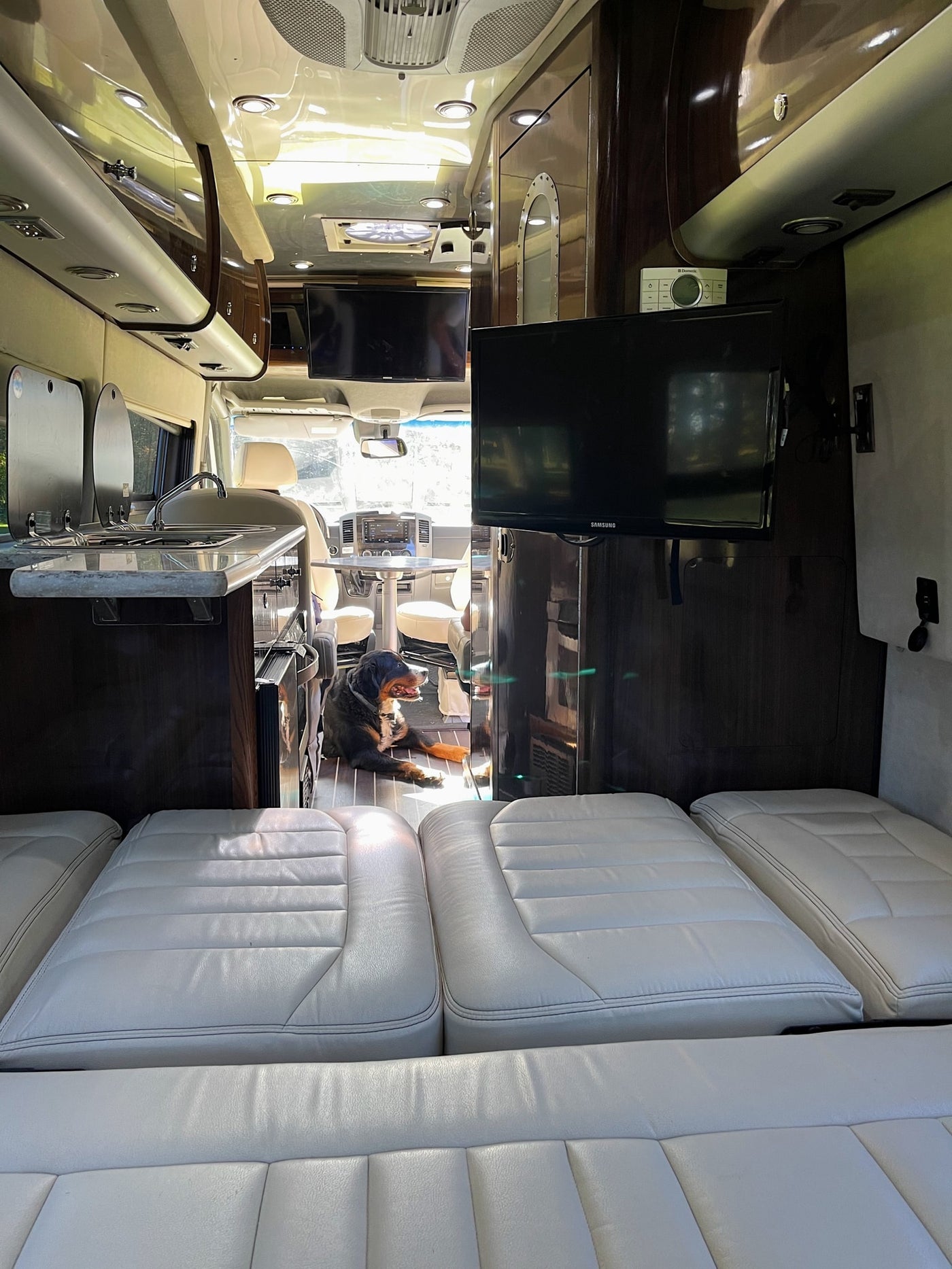 Inside a premium RV rental: sleek interior with a kitchen, TV, comfortable seating, and a dog relaxing. — photo 13
