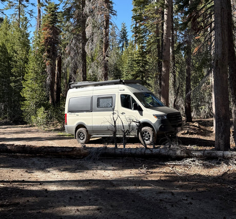 Experience nature with this camper van RV rental, parked amidst a serene forest with tall trees and a fallen log.