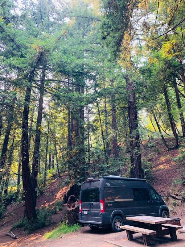 Campsite bliss! Dark gray RV rental parked by a picnic table among towering forest trees.