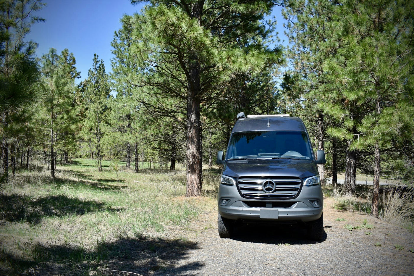 The Wanderful Escape — photo 4
