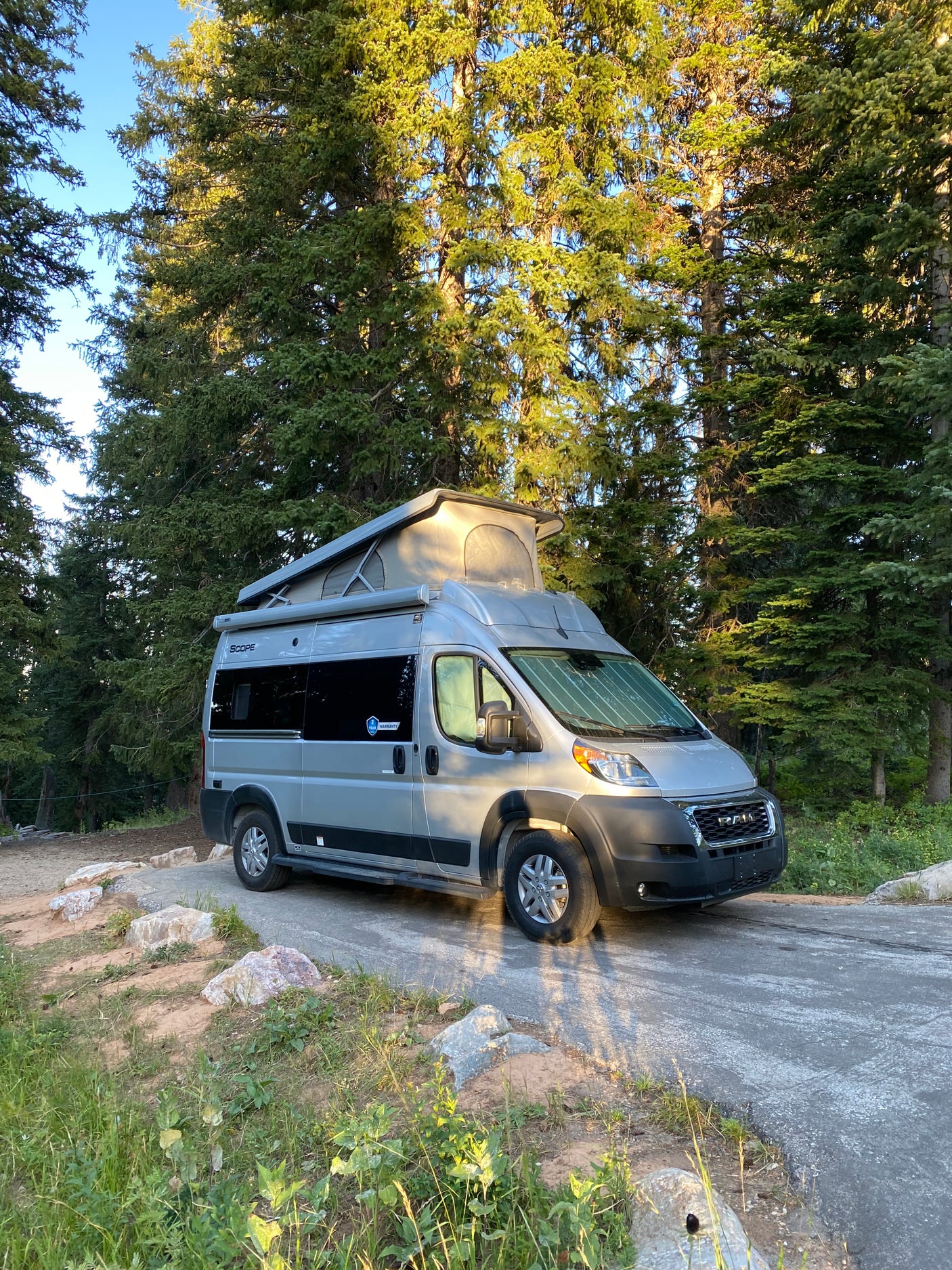 Silver pop-top camper van (RV rental) parked in a sunny forest clearing, surrounded by tall evergreen trees.