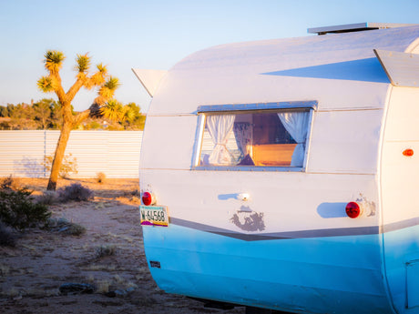 White and blue vintage RV rental with an Arizona plate, parked in a sunny desert landscape by a Joshua tree.