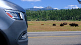 RV rental on a scenic road, offering views of bison grazing in a vast field with mountains and forests under a blue sky.