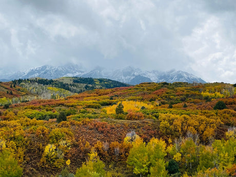 Vibrant autumn foliage (yellow, orange, red) blankets hills before snow-capped mountains. Plan your scenic RV rental trip!