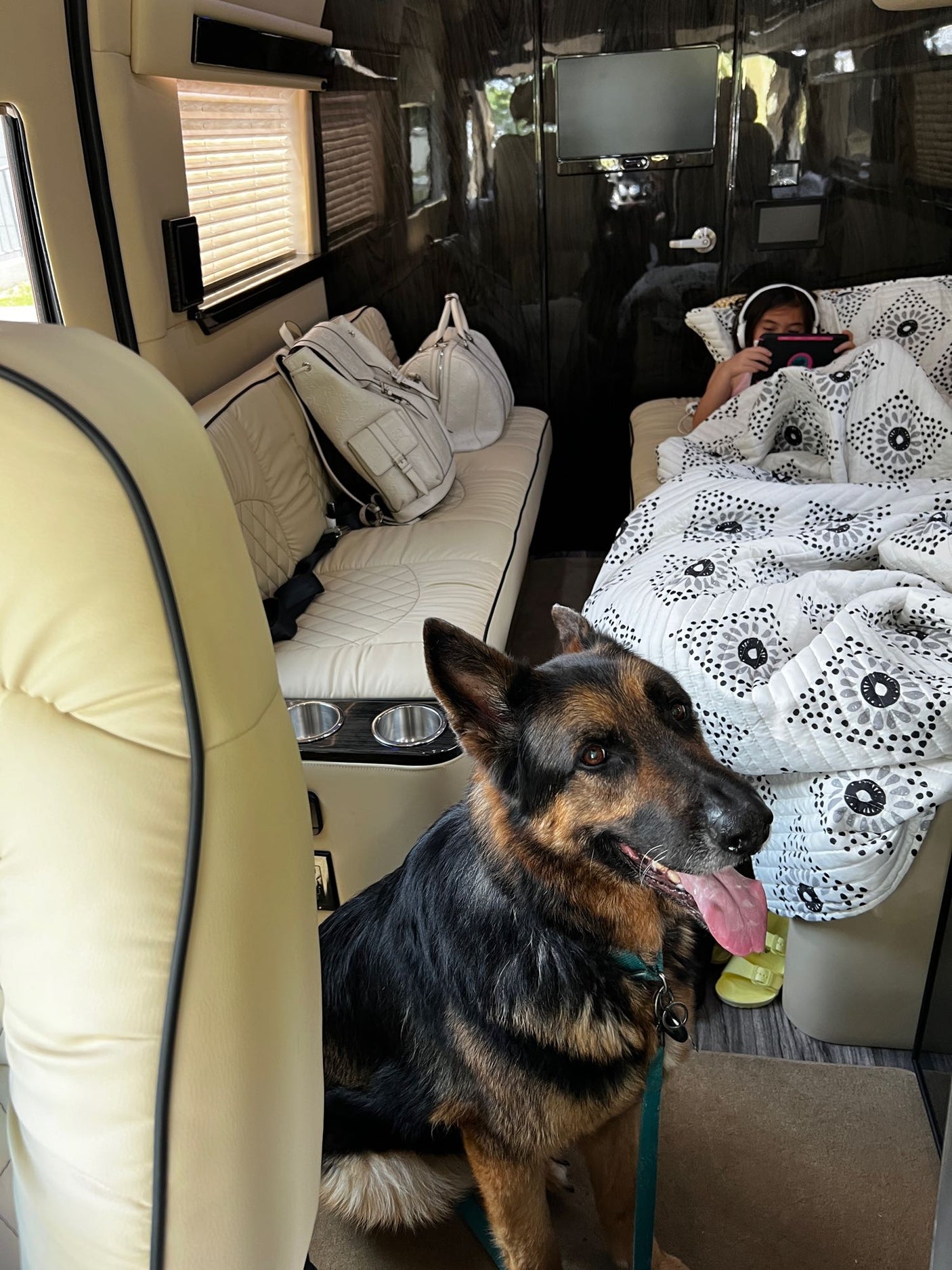 An RV rental interior shows a patient German Shepherd and a child engrossed in a tablet on a bed.